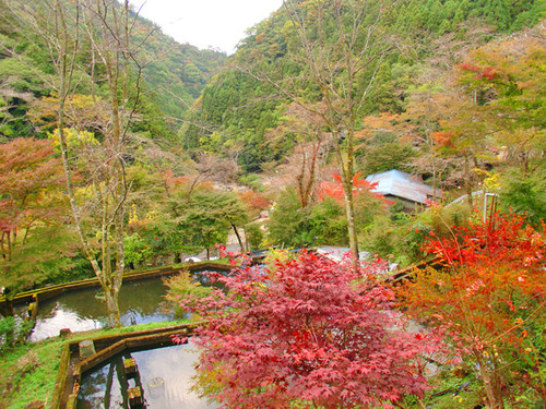 秘瀑 : 台高山脈珠玉の渓 Amazon.co.jp: 秘瀑 台高山脈 珠玉の渓 : 川崎 実: 本