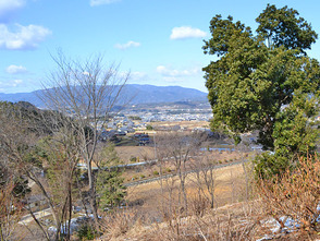 <p>のどかな田園地帯の風景が広がります</p>

