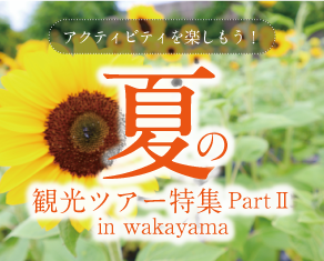 夏の観光ツアー特集　PartⅡ