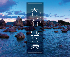 奇石特集