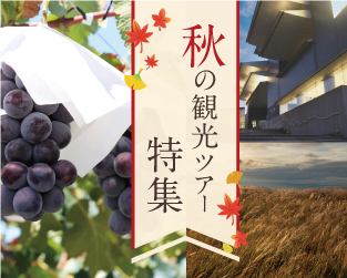 秋の特集